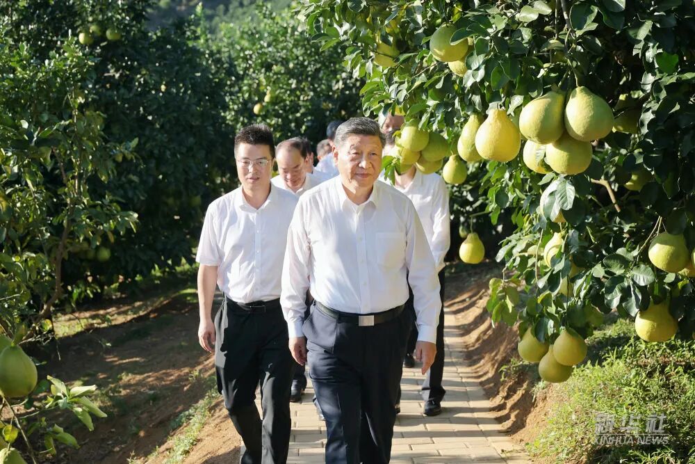 J9国际站备用【唯一】官方网站